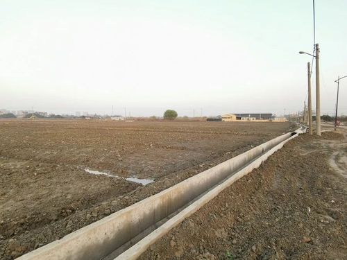 许村镇首次运用现浇灌渠等技术提升土地整治质量