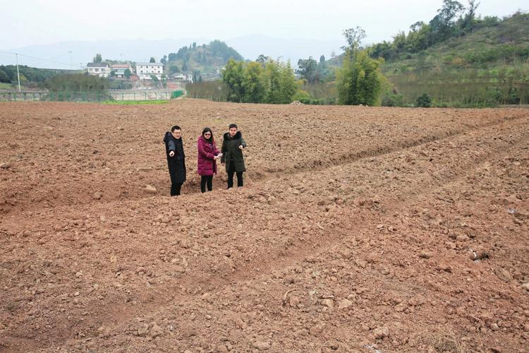 孙斌杰(左)和扶贫队员一起查看即将种植血橙的土地整治情况.